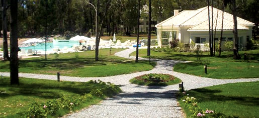 Áreas verdes para disfrutar y descansar